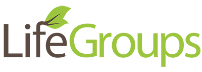 Verified Supplier